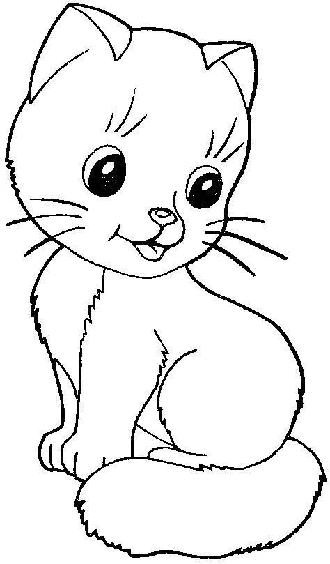 cat drawing images