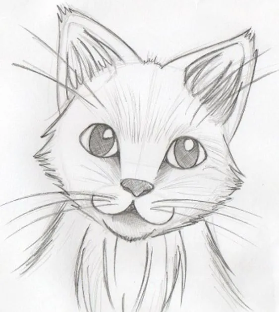 outline picture of cat