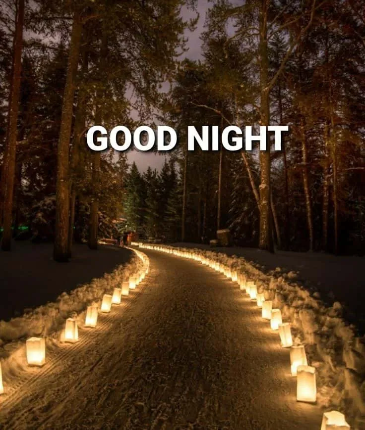 beautiful good night