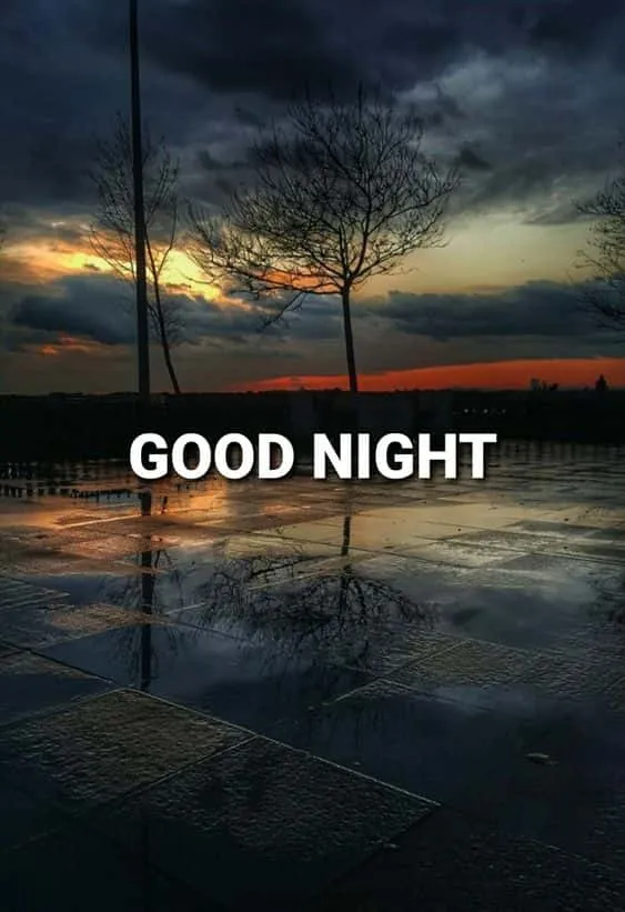 good night status