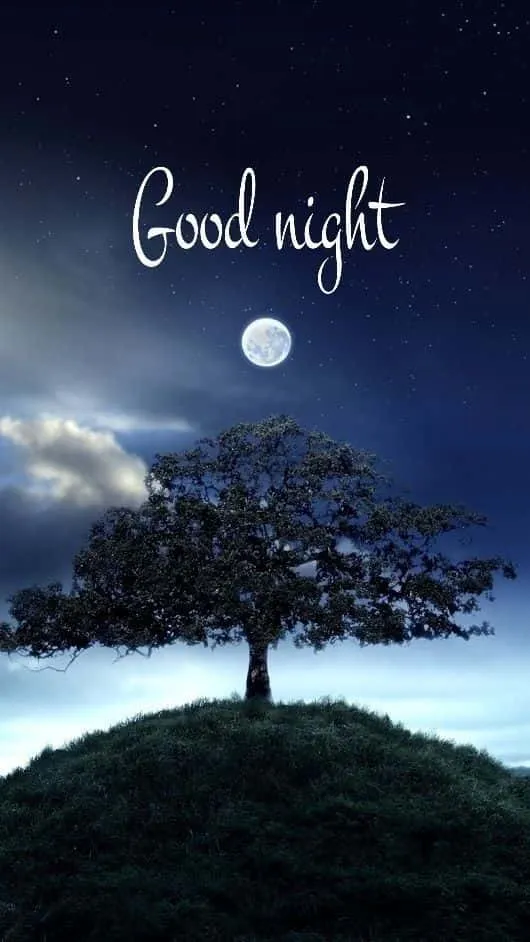 good night wallpaper