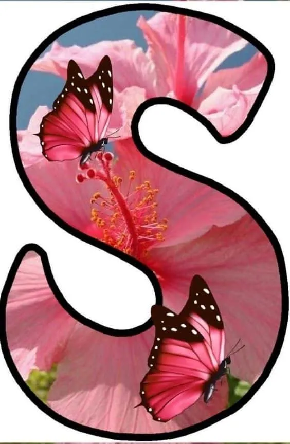 stylish s letter dp