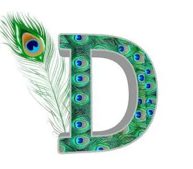 stylish d letter whatsapp dp