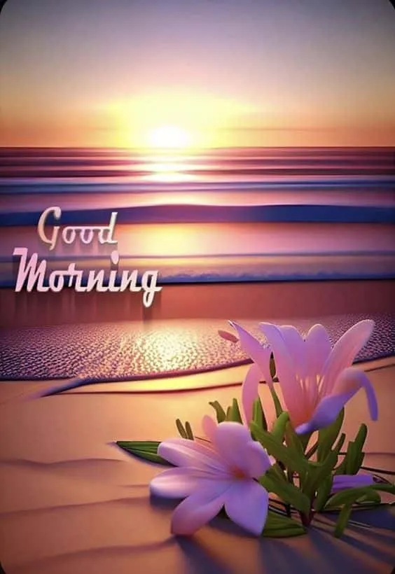 beautiful good morning images for whatsapp hd