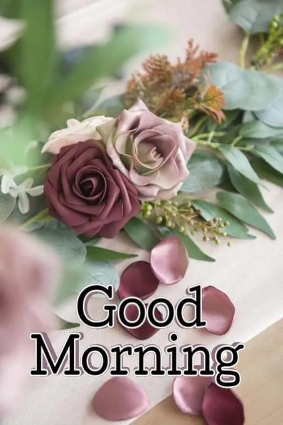 beautiful good morning images for whatsapp hd