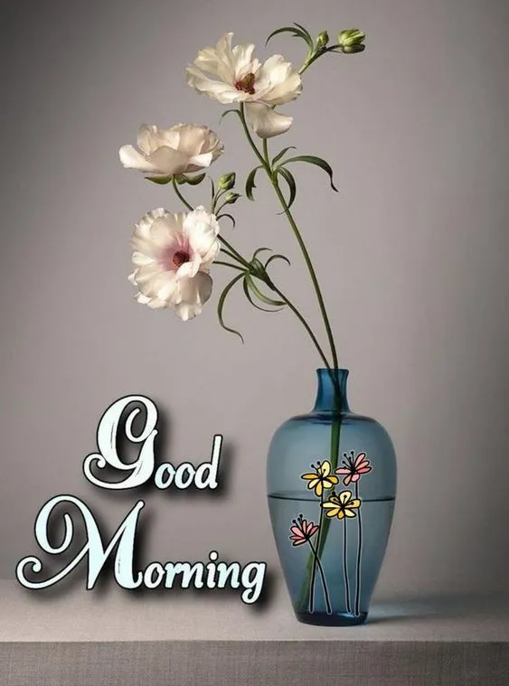 beautiful good morning photo