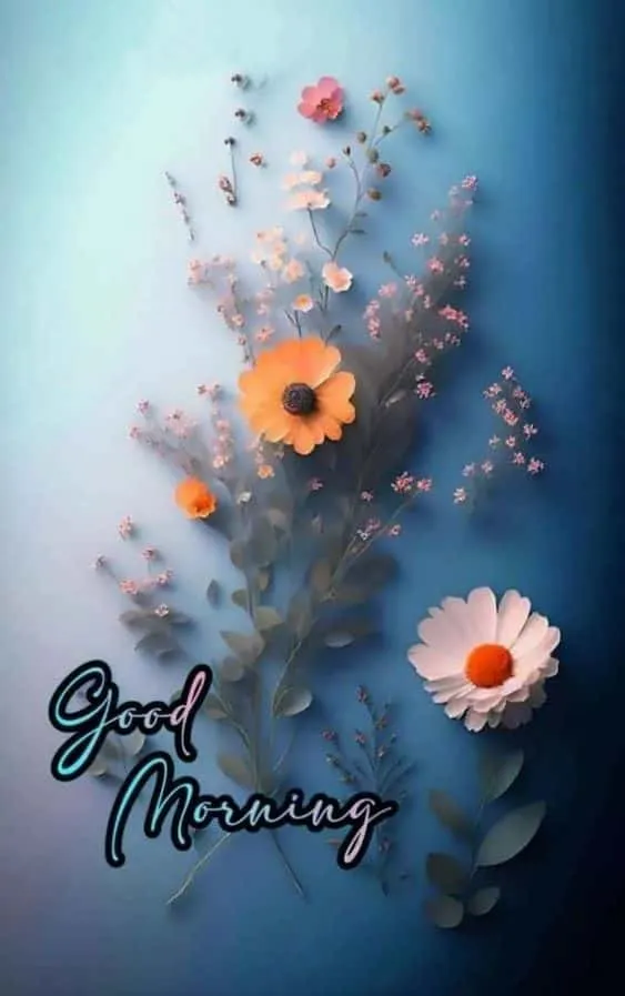 new beautiful good morning images