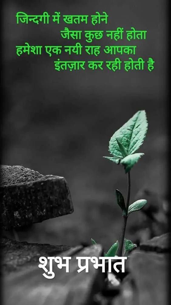 good morning wishes in hindi