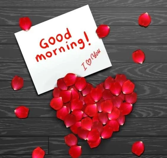 good morning love images hd