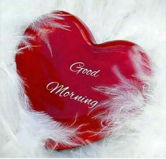 good morning love images hd