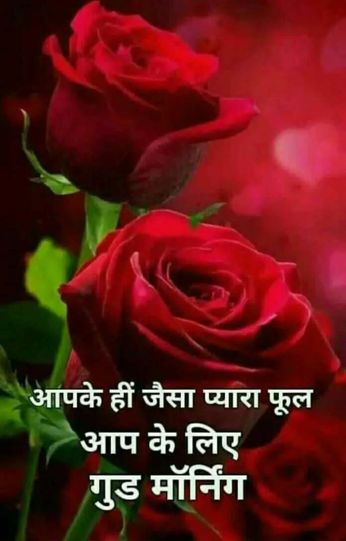 good morning wishes for love in hindi