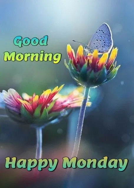 good morning monday images