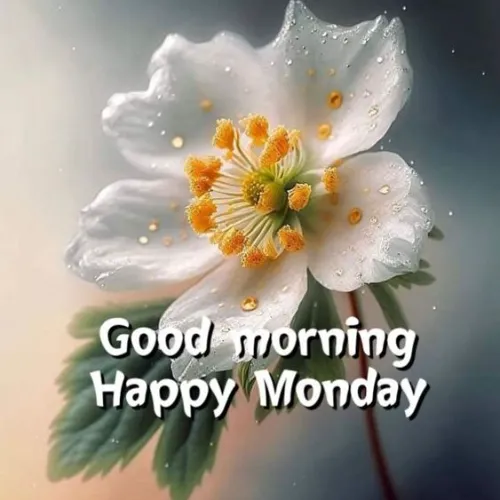 good morning monday images