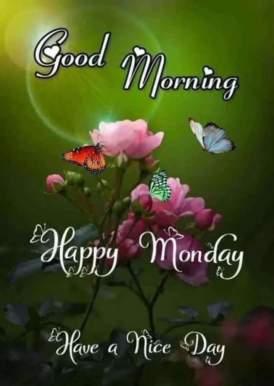 good morning monday wishes