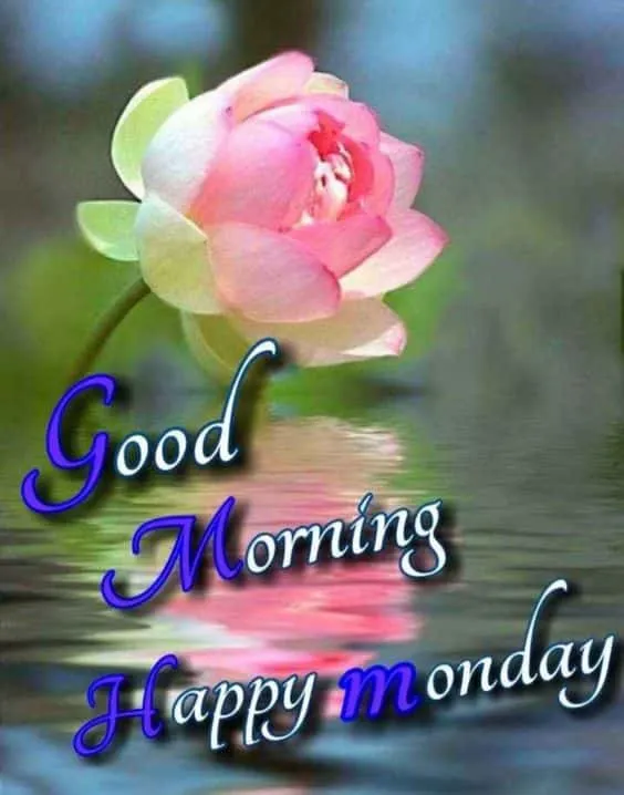 good morning monday wishes