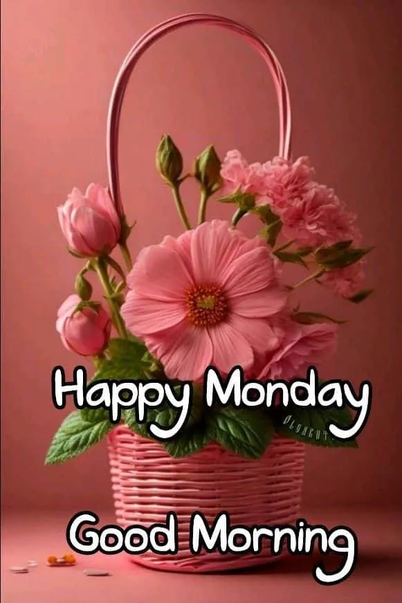 good morning monday wishes wallpaper