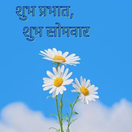 monday good morning images in hindi