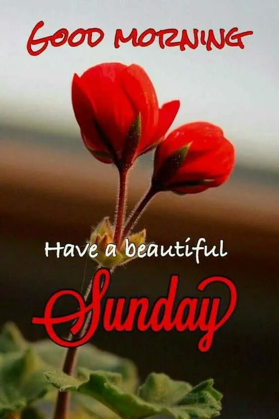 good morning happy sunday