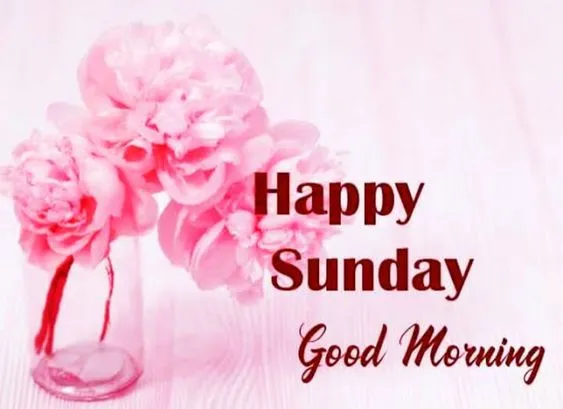 good morning happy sunday hd images