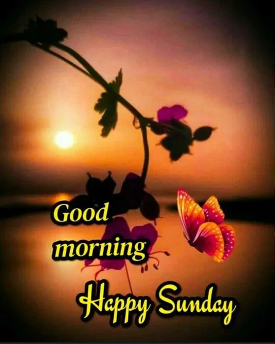 good morning happy sunday hd images