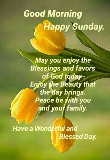 good morning wishes sunday