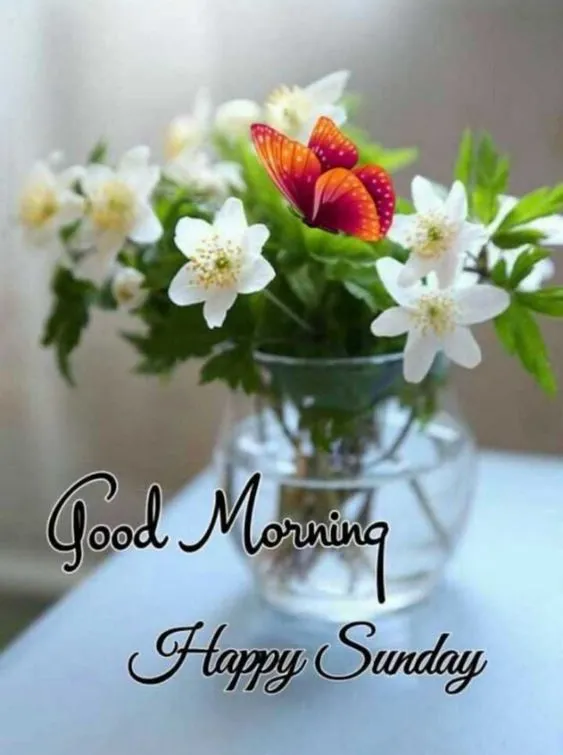 happy sunday good morning images