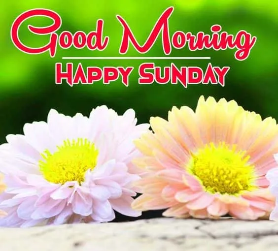 happy sunday good morning images