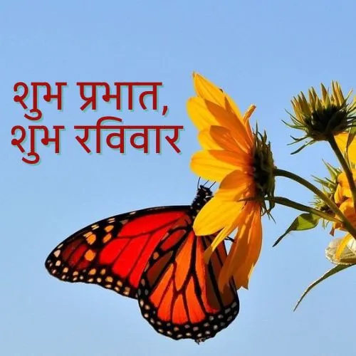 sunday good morning images in hindi