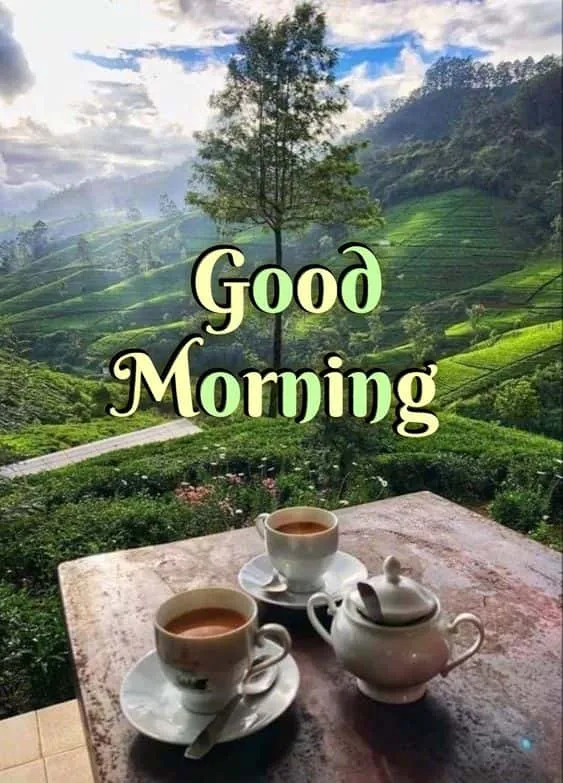 tea good morning images