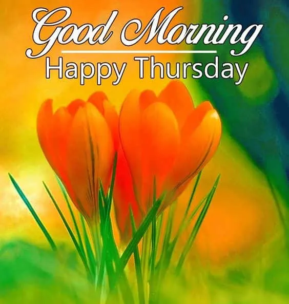 good morning happy thursday images