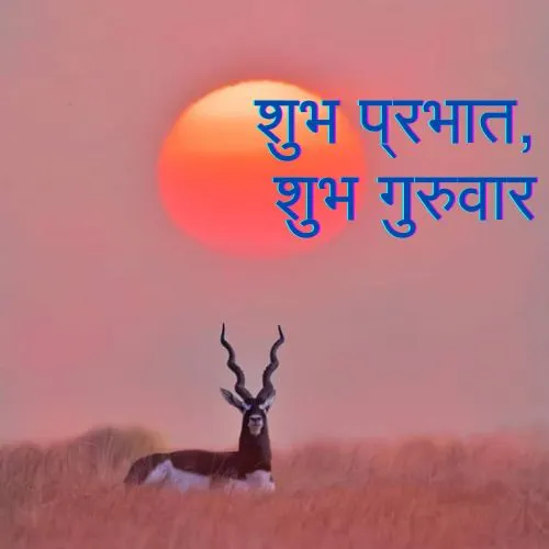 thursday good morning images in hindi