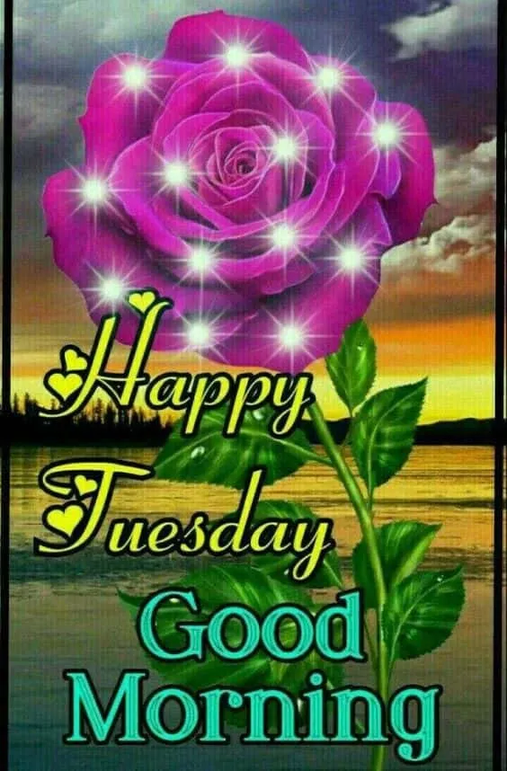 happy tuesday good morning images