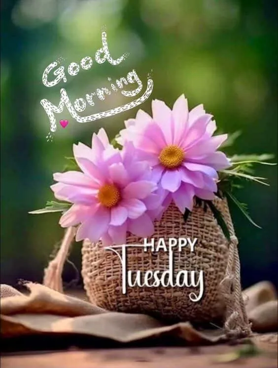 tuesday good morning wishes