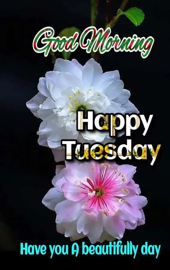 good morning tuesday images