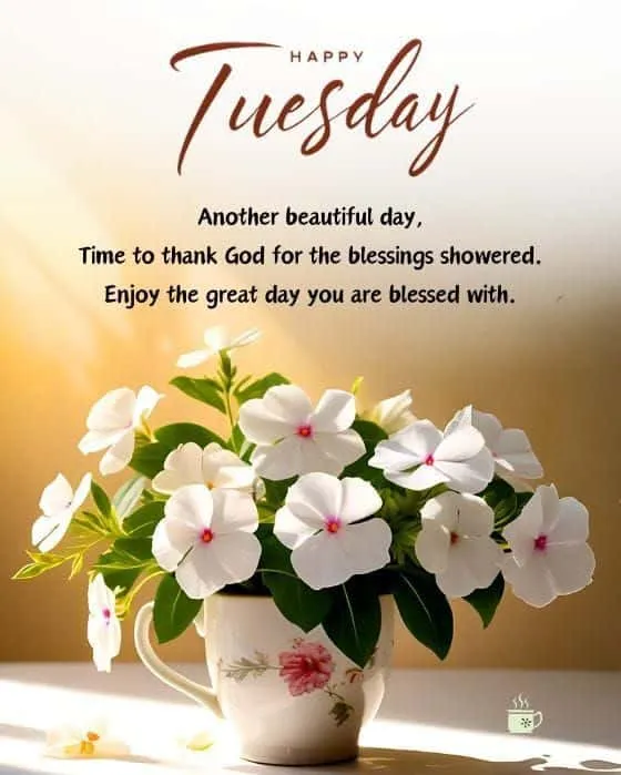 tuesday good morning wishes images