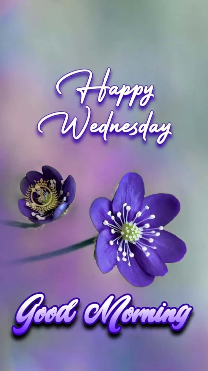 good morning happy wednesday images