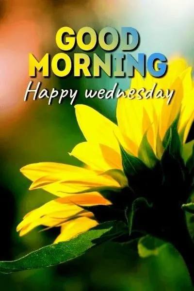 good morning images wednesday