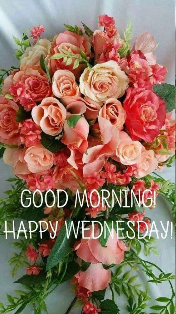 happy wednesday good morning images