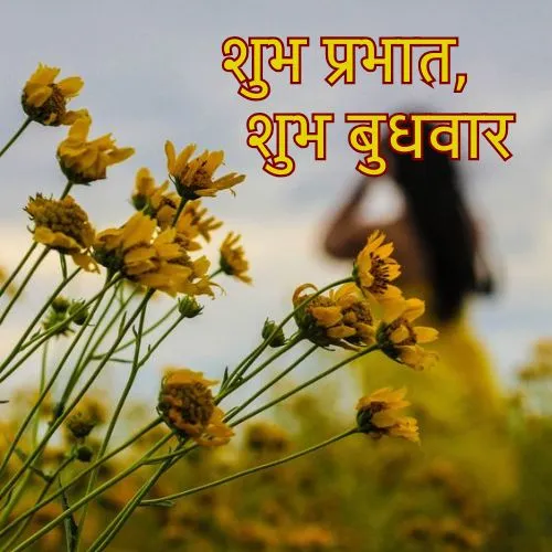 wednesday good morning images in hindi