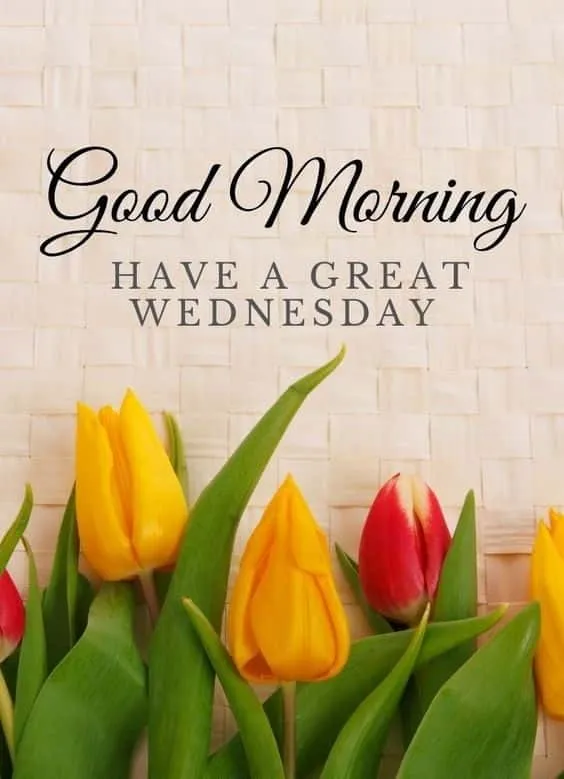 wednesday good morning wishes