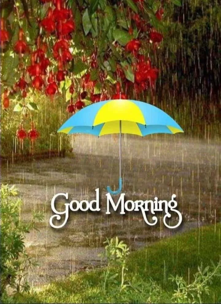 good morning rainy day picture