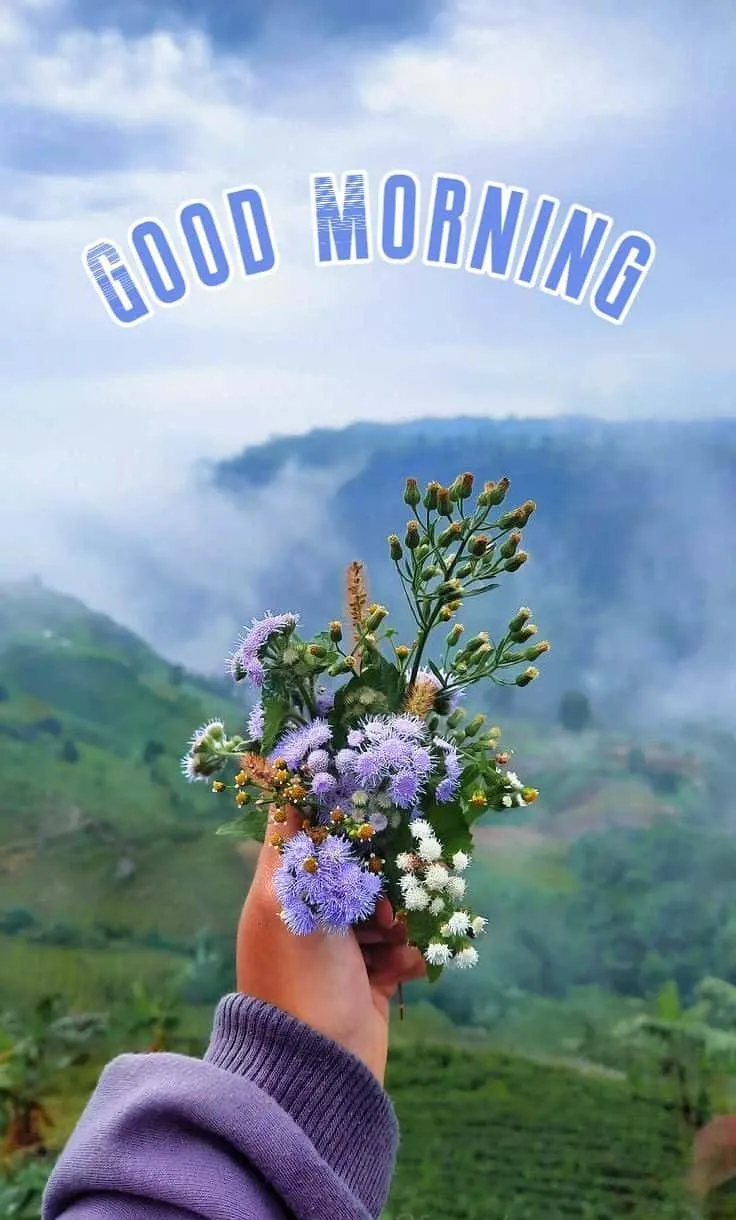 today special good morning images hd