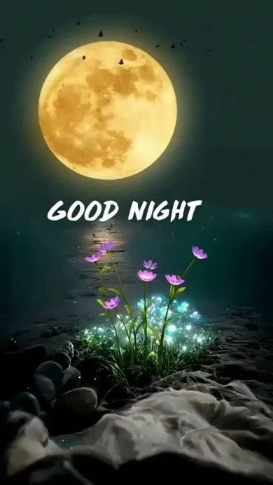 beautiful good night images