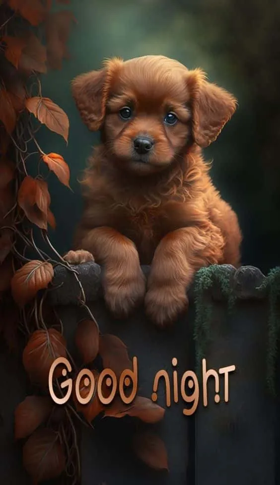 beautiful good night images