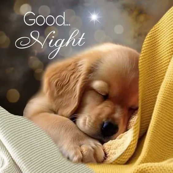 beautiful good night images