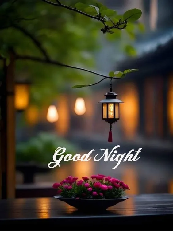 beautiful night images