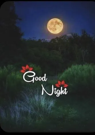 good night images in hindi