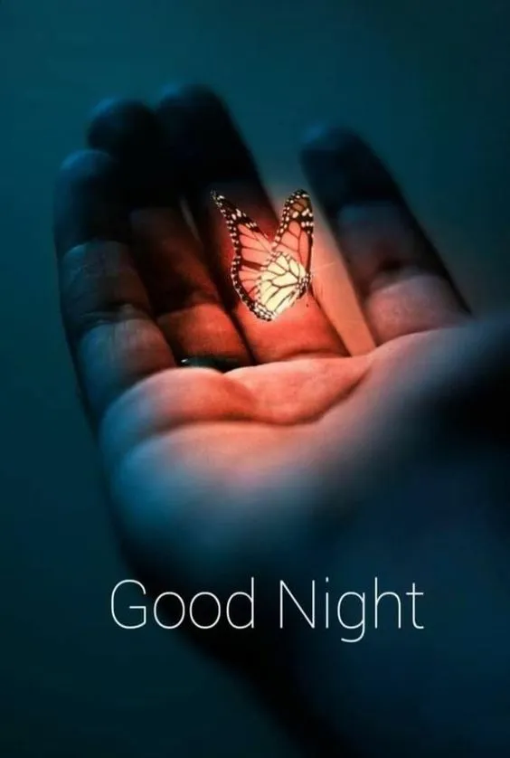 good night pic