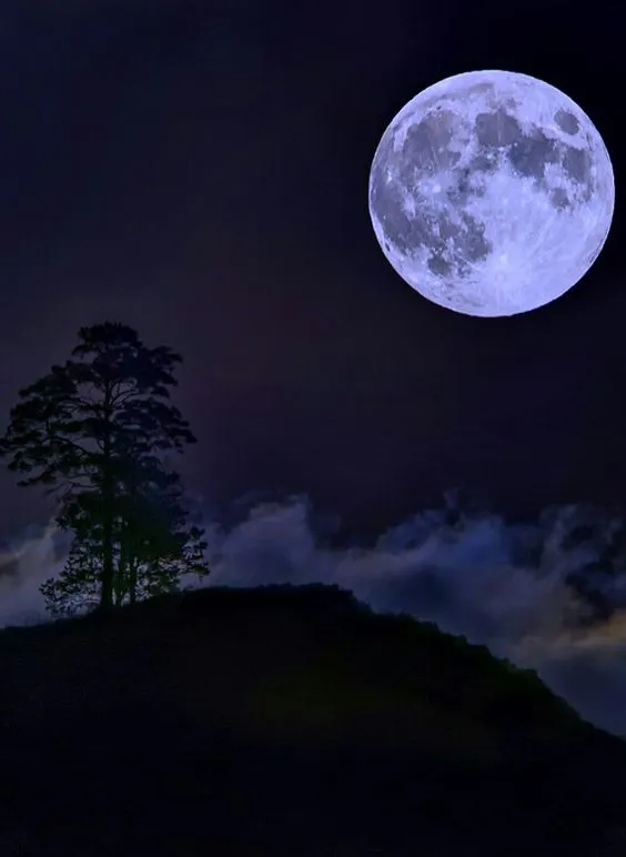 good night moon images