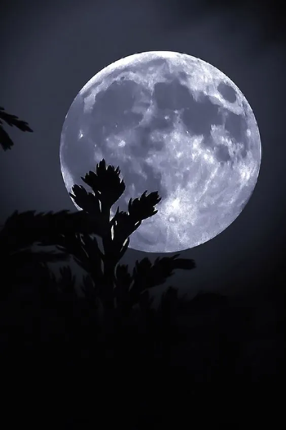 night moon photos